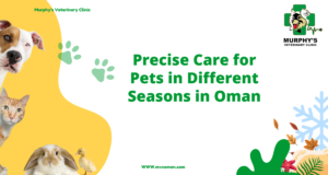 Precise Care for Pets in Oman