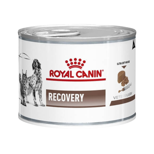 RC Vet Health Nutrition Recovery Dogs & Cats (WET FOOD - Cans) 12 x 195G