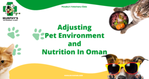 Adjusting Pet Environment and Nutrition