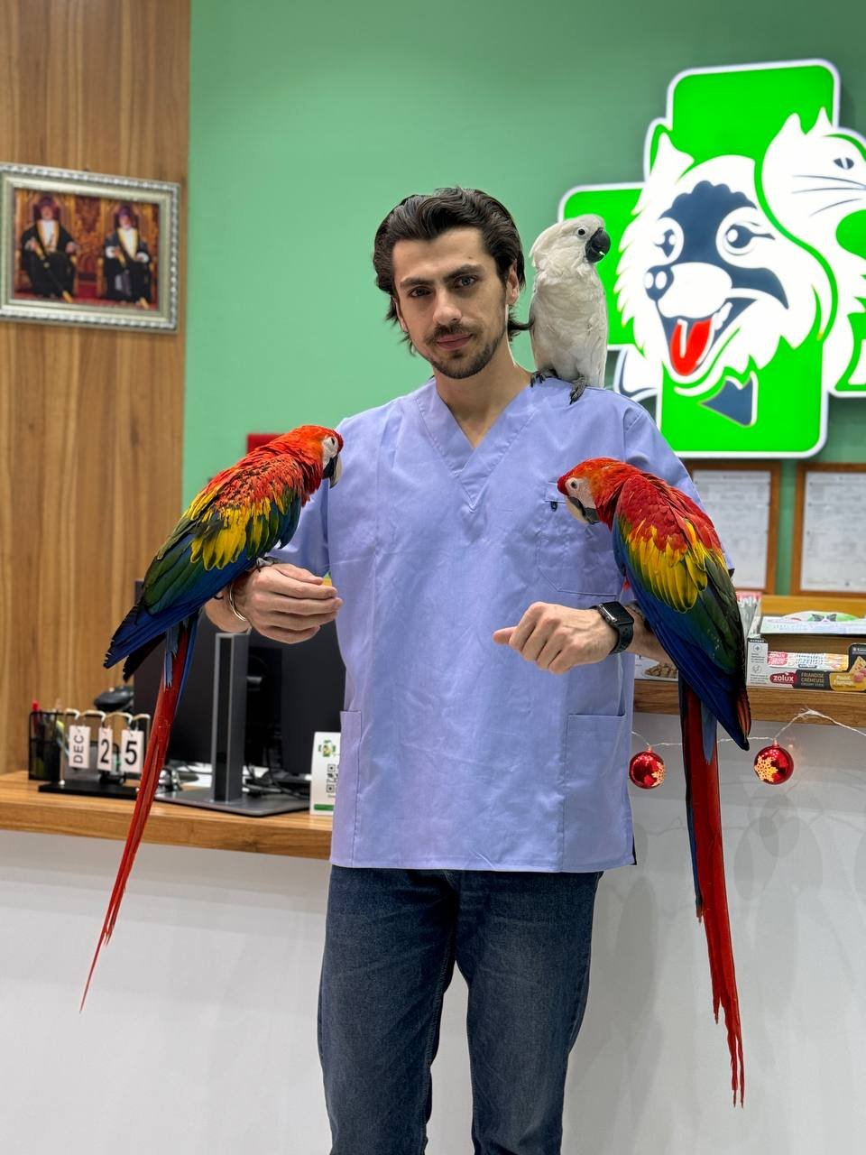 Dr. Mehdi Amir Ahmadi