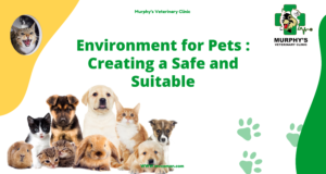 Environment for Pets