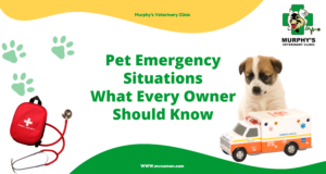Pet Emergency Situations