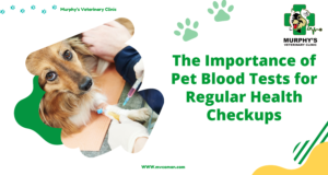 Pet Blood Tests