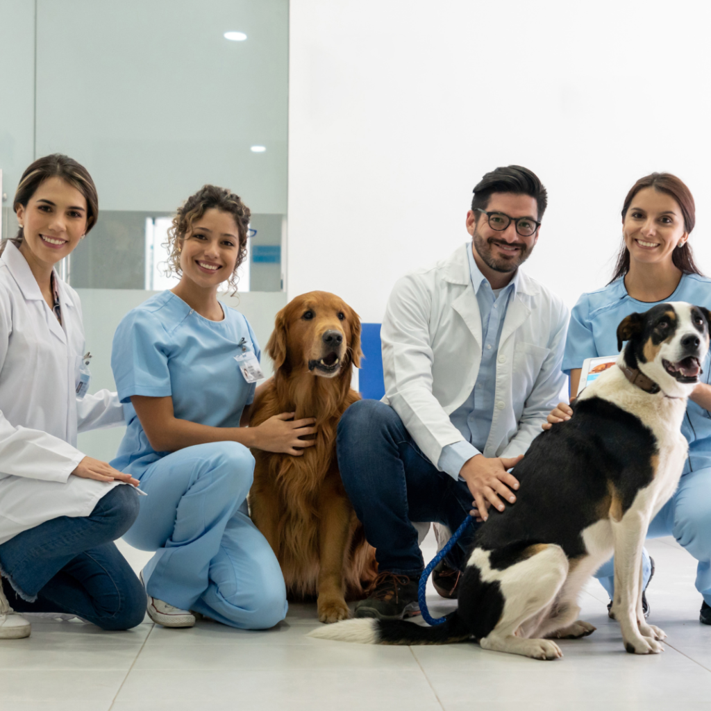 Veterinarians