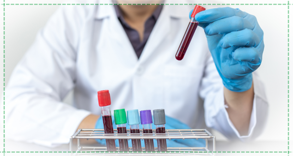 Pet Blood Test