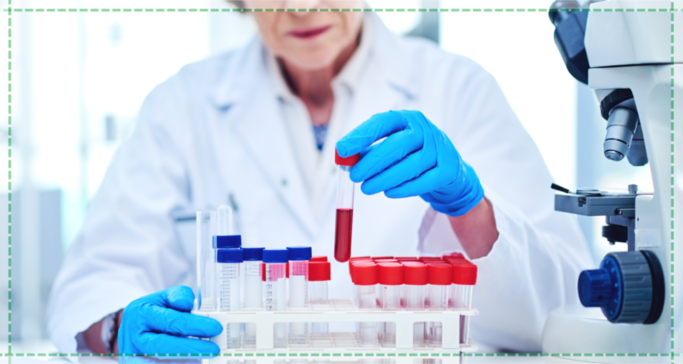 Pet Blood Test