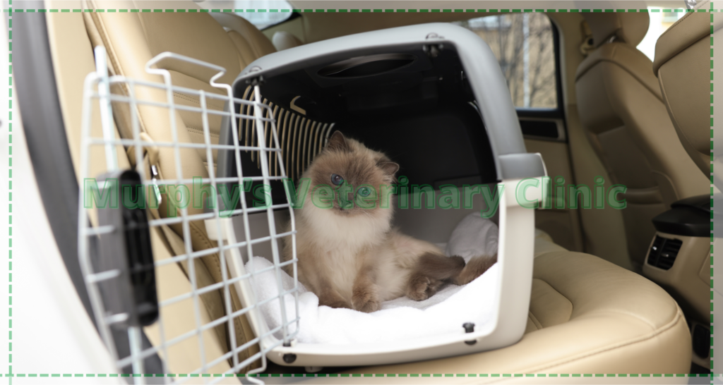 Right Transportation for Pet