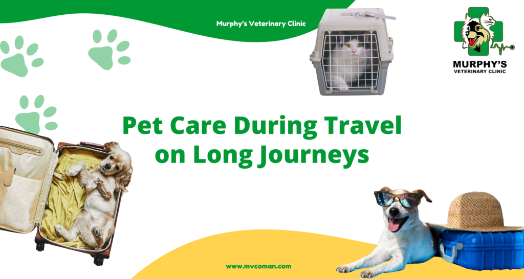 pet care during travel