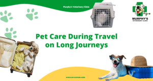 pet care during travel