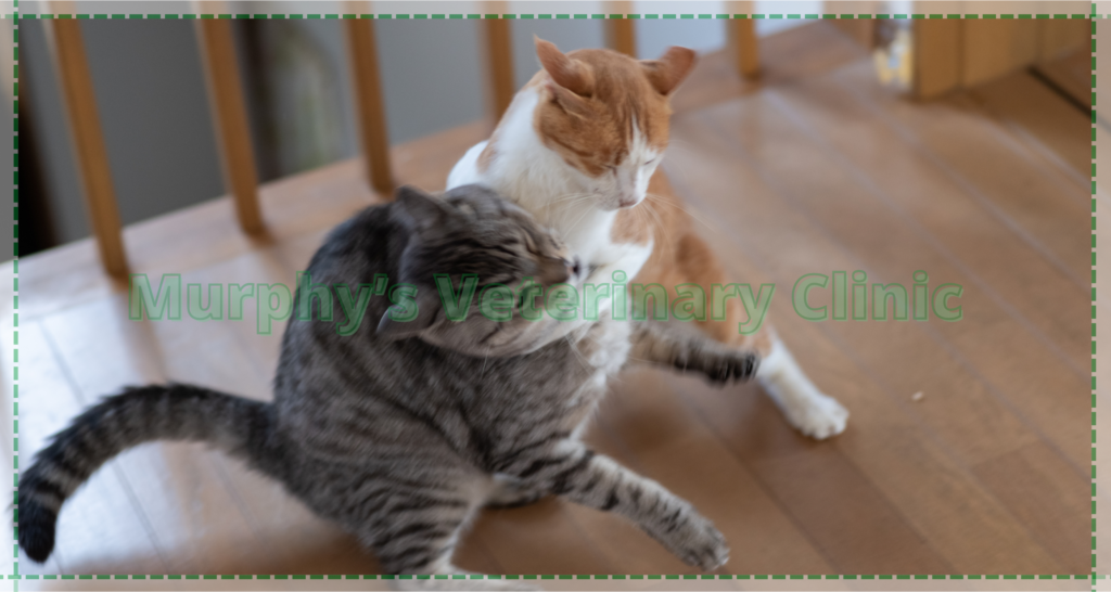 Annual Veterinary Visits