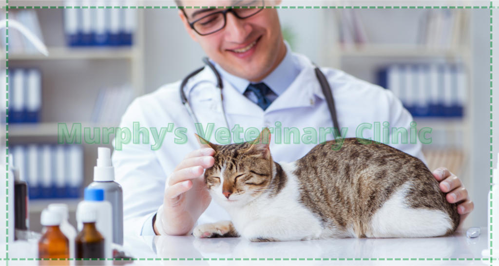 Preventing Diseases Parasites