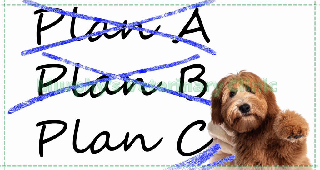 Early Disease Detection in Pets
