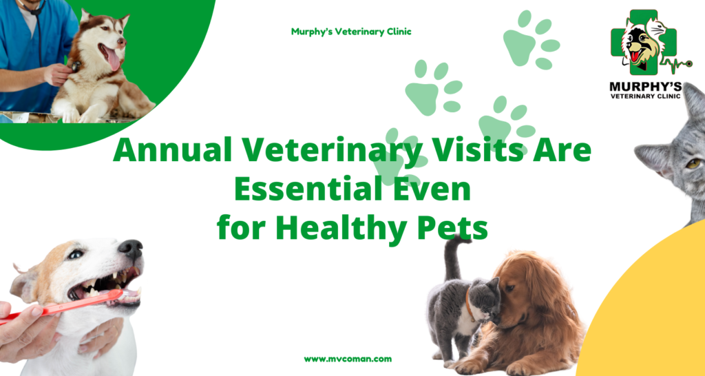Annual Veterinary Visits