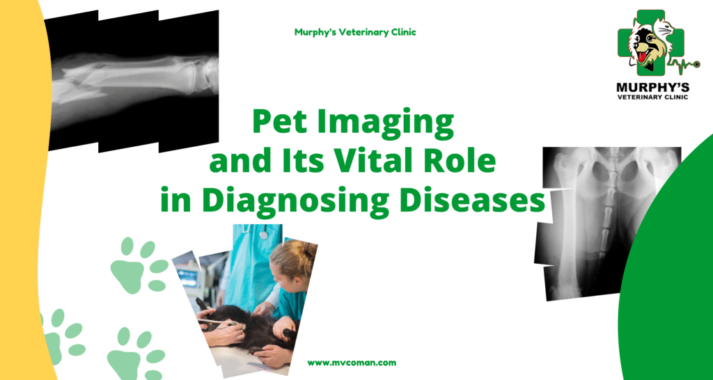 Pet Imaging