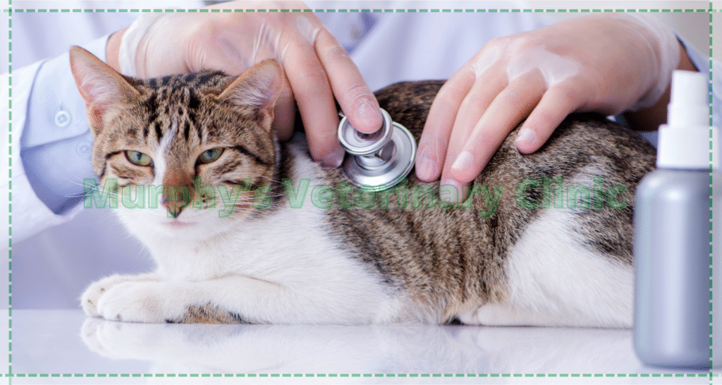 Adrenal Gland Tumors in Pets
