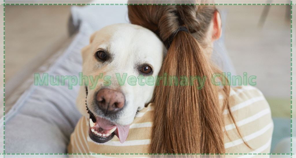 Effects of loneliness on pets