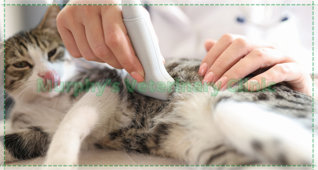 Adrenal Gland Tumors in Pets