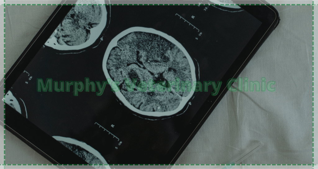 4 Contrast Imaging