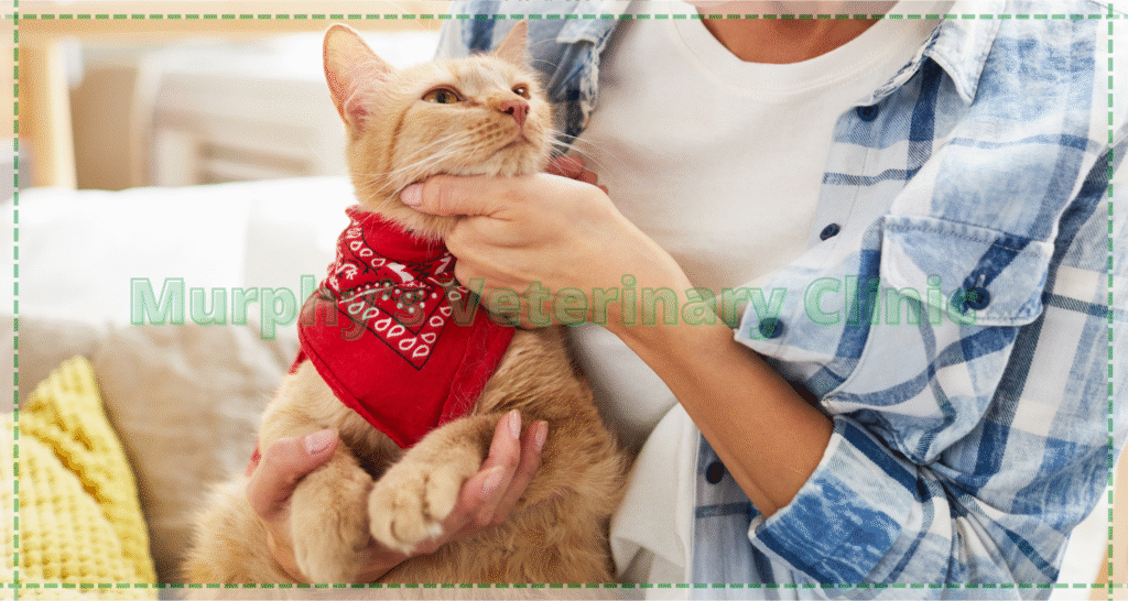 Effects of loneliness on pets