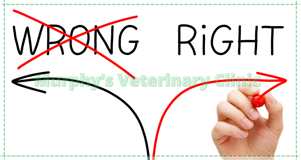 5 Choosing the Right Imaging Method