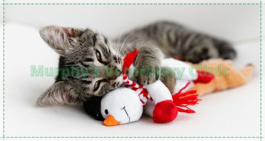 Effects of loneliness on pets