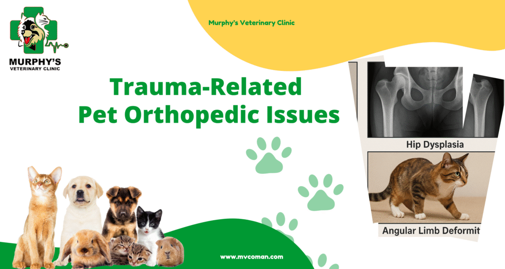 Trauma-Related Pet Orthopedic