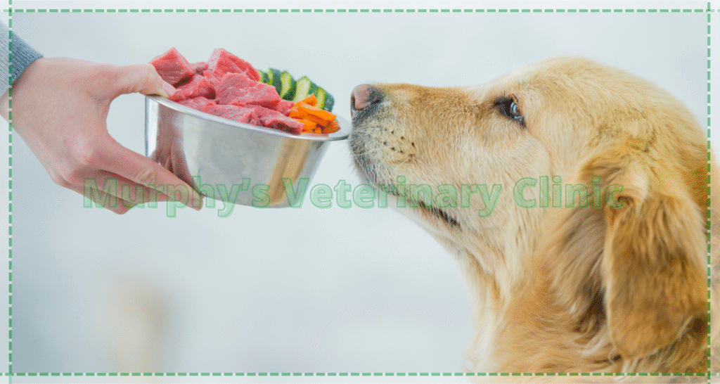Pet Urinary Health