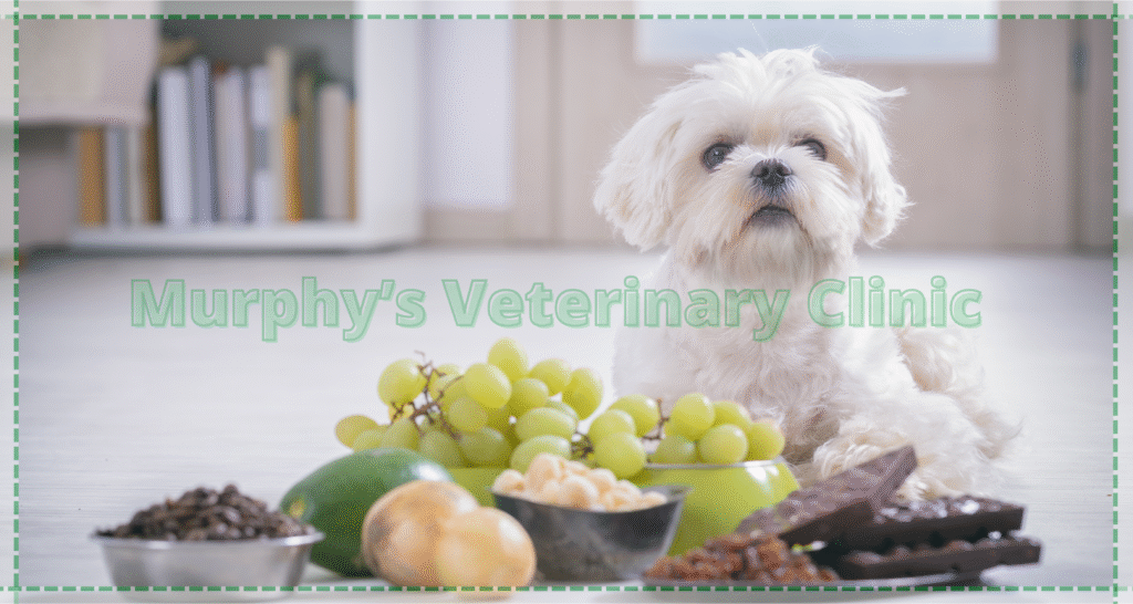 Vitamin A Toxicity