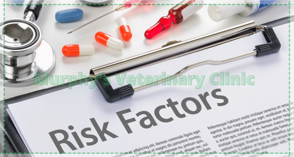 Pet Urinary Health