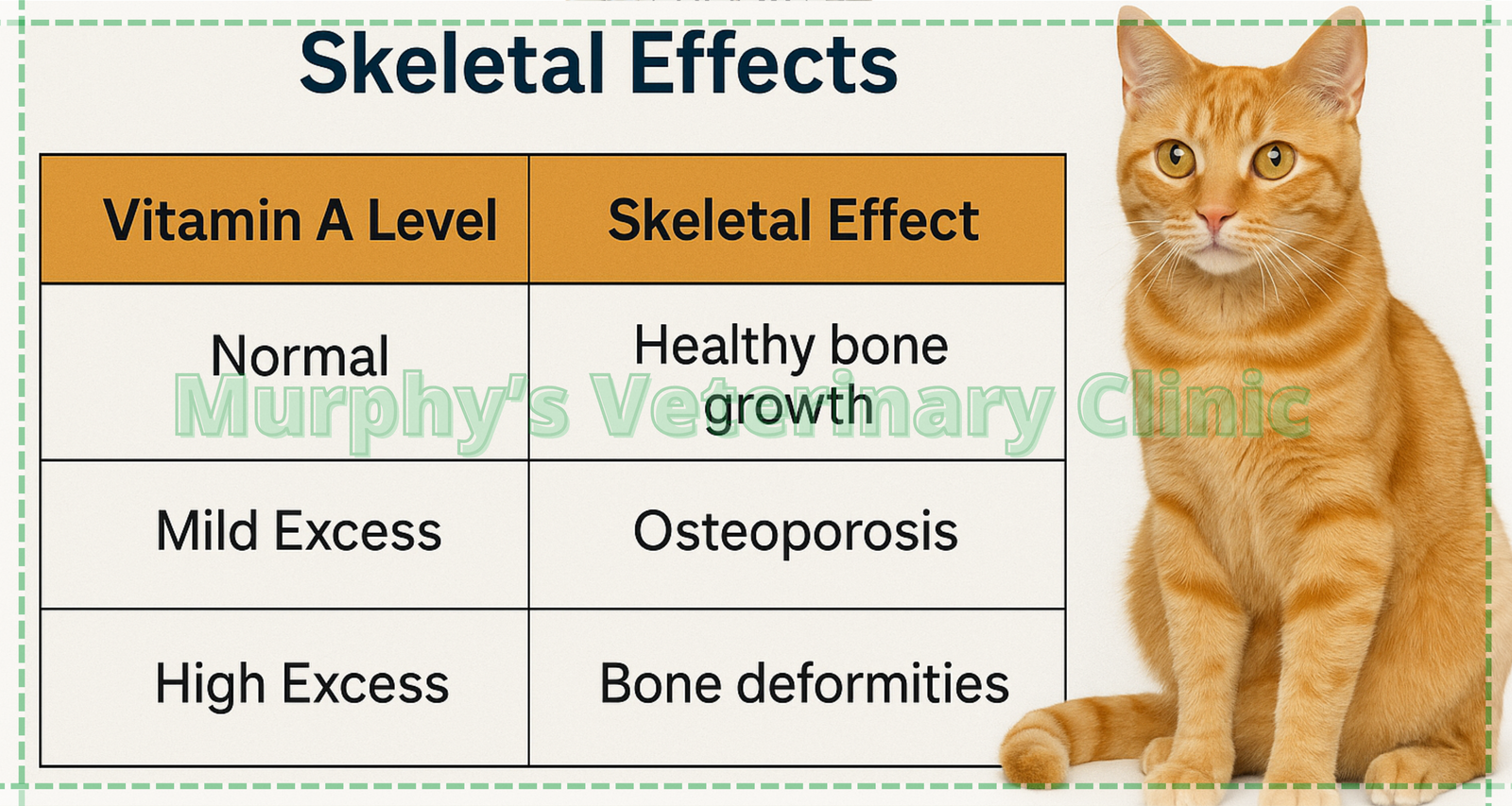 Vitamin A Toxicity