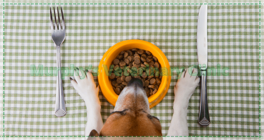 metabolic-diseases-and-skeletal-weakness-in-pets