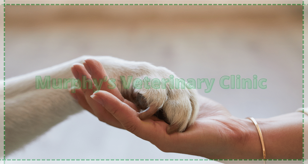 Bone and Joint Infections