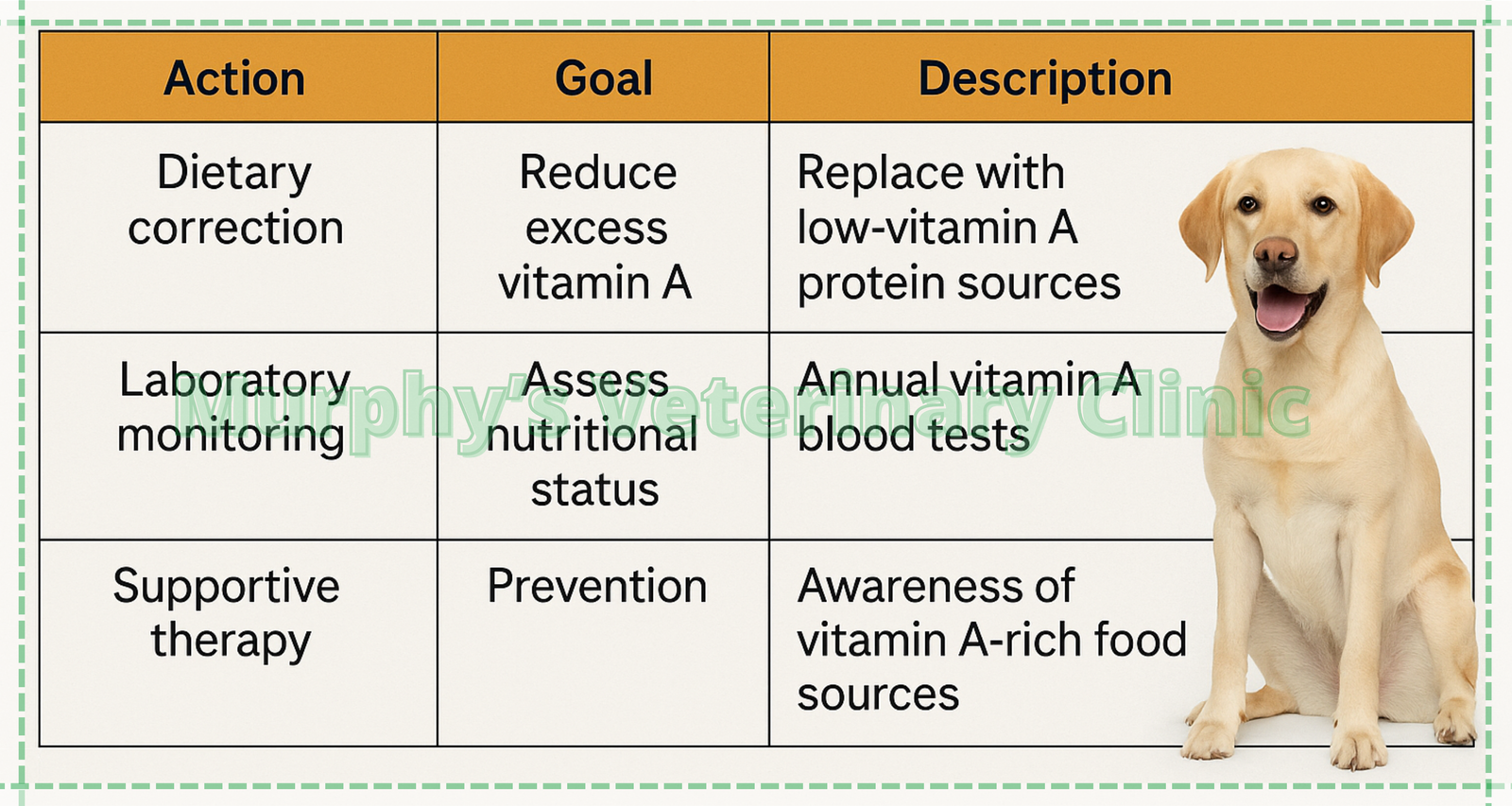 Vitamin A Toxicity