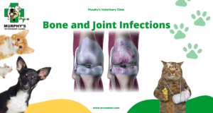 Bone and Joint Infections