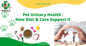 Pet Urinary Health