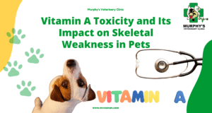 Vitamin A Toxicity