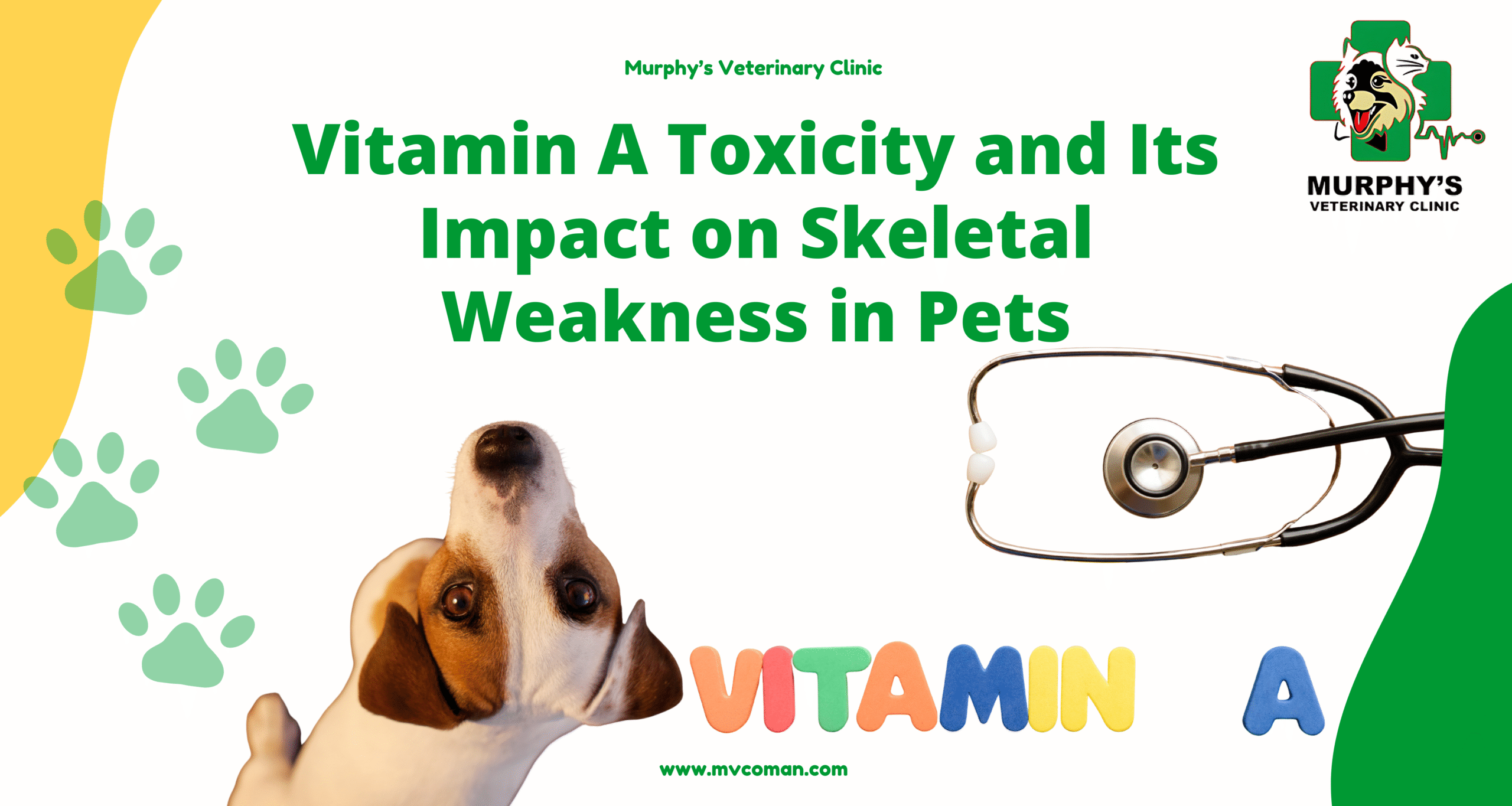 Vitamin A Toxicity and Its Impact on Skeletal Weakness in Pets ...