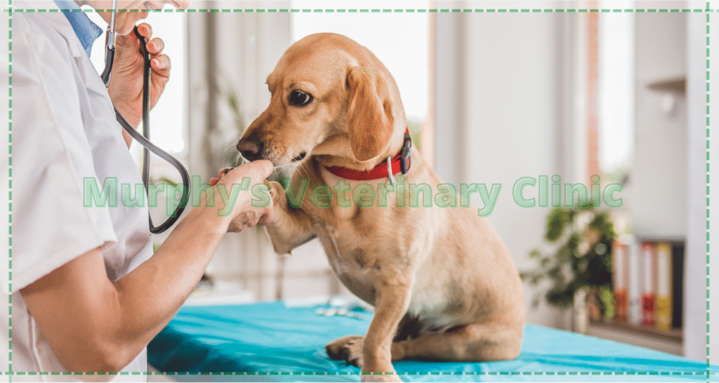 Pet Health Screening