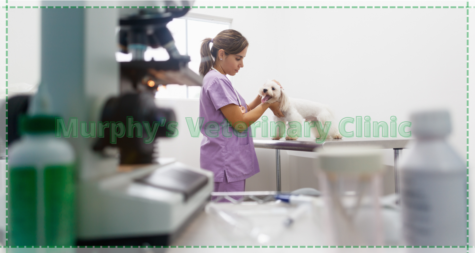 Stress-Related Injuries in Pets and Overuse Issues