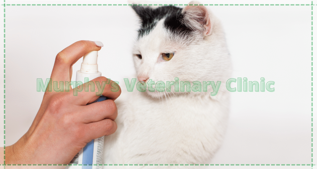 Flea and Tick Control