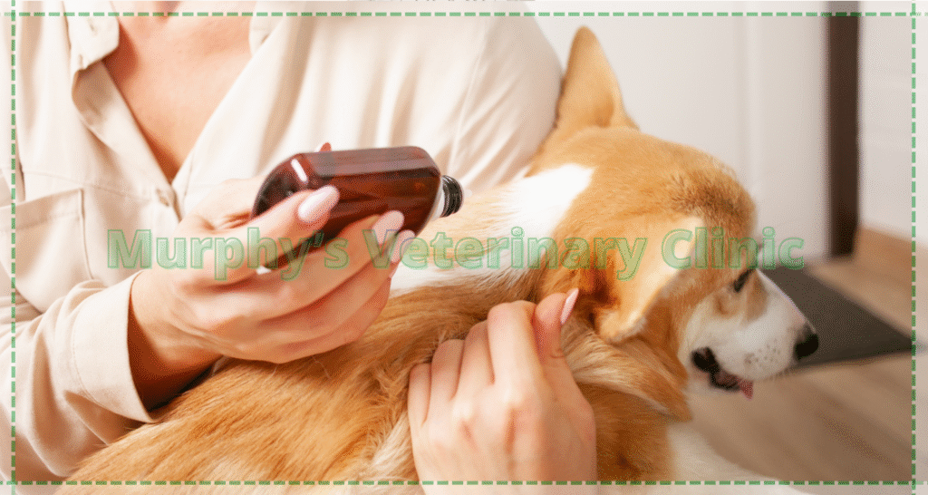 Flea and Tick Control