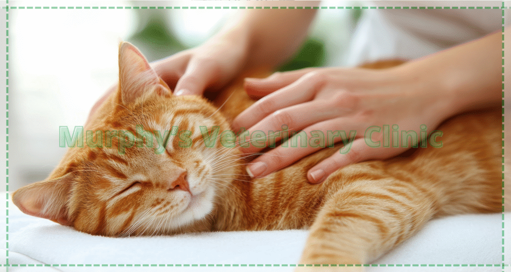 Feline Pre-Vaccination Testing