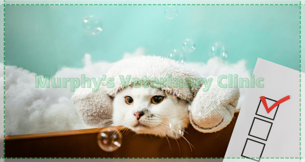 Pet Health Check-up