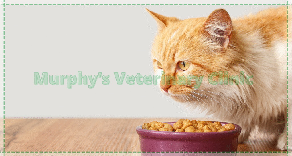 Feline Pre-Vaccination Testing