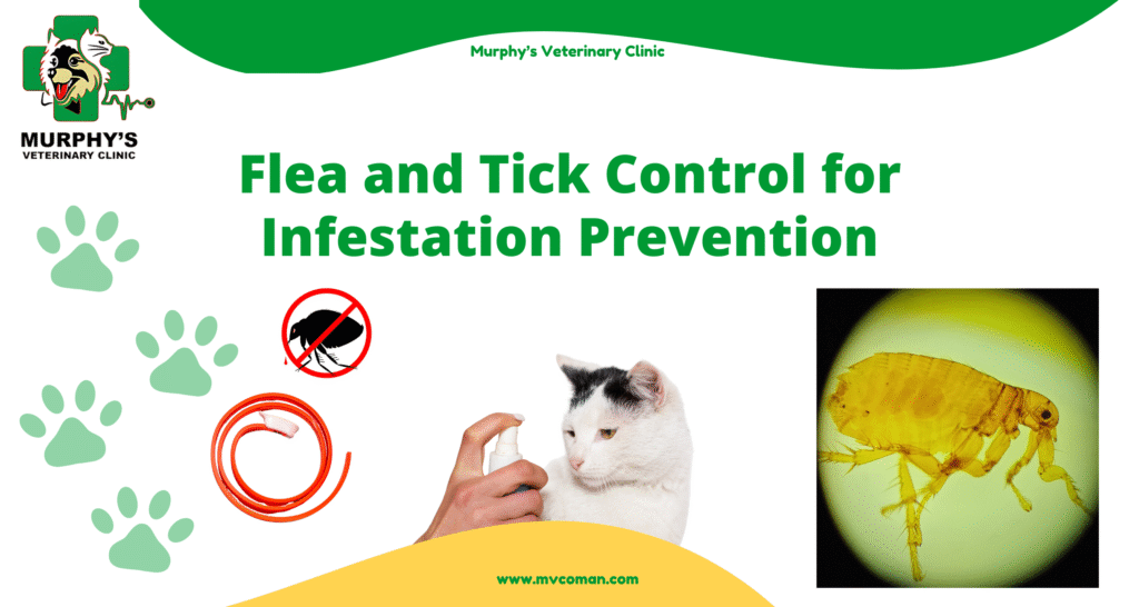 Flea and Tick Control
