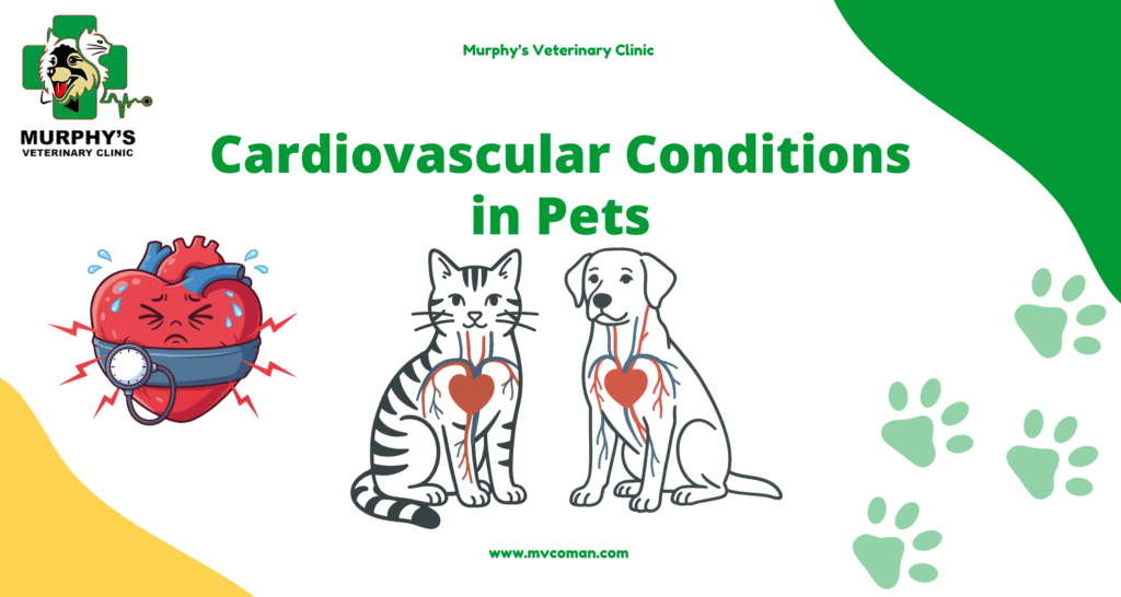 Cardiovascular Conditions in Pets