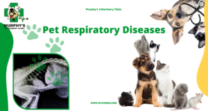 Pet Respiratory Diseases