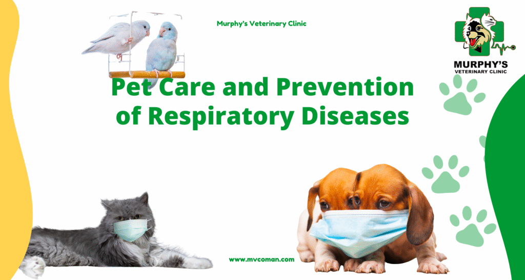 Pet Care and Prevention of Respiratory Diseases