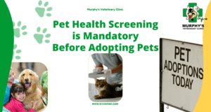 Pet Health Screening