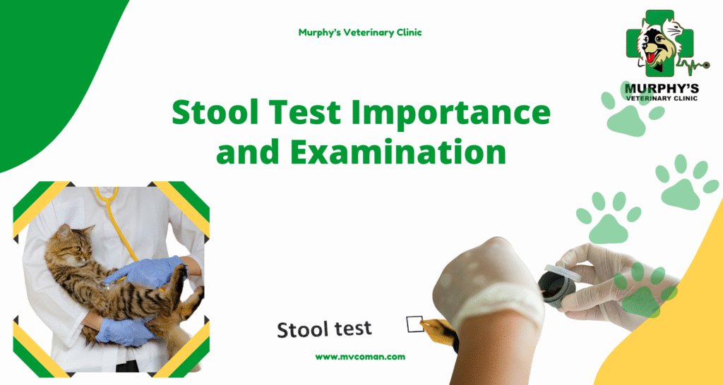 Stool Test Importance and Examination